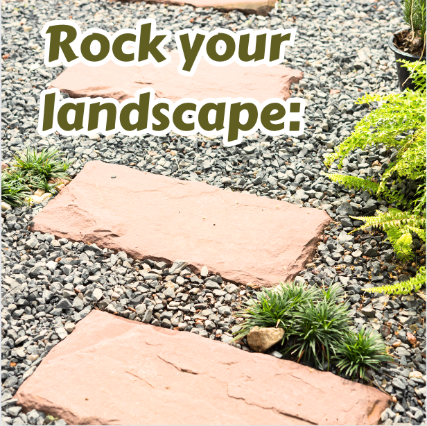 Transform Your Landscape: The Benefits of Rock Landscaping and Low-Water Plants with Adobe Rock