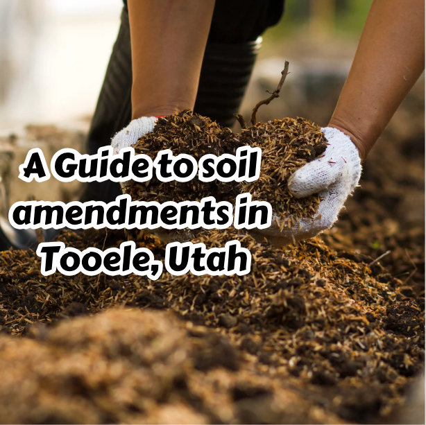 Enhance Your Soil: A Guide to Soil Amendments in Tooele, Utah