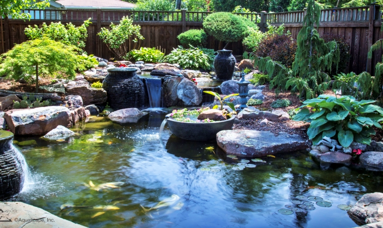 Transform Your Backyard with Aquascape Water Features and DIY Pond Kits