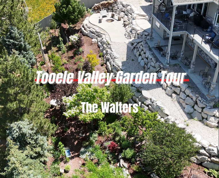 2025 Tooele Valley Garden Tour: How to get the look of the Walters Yard