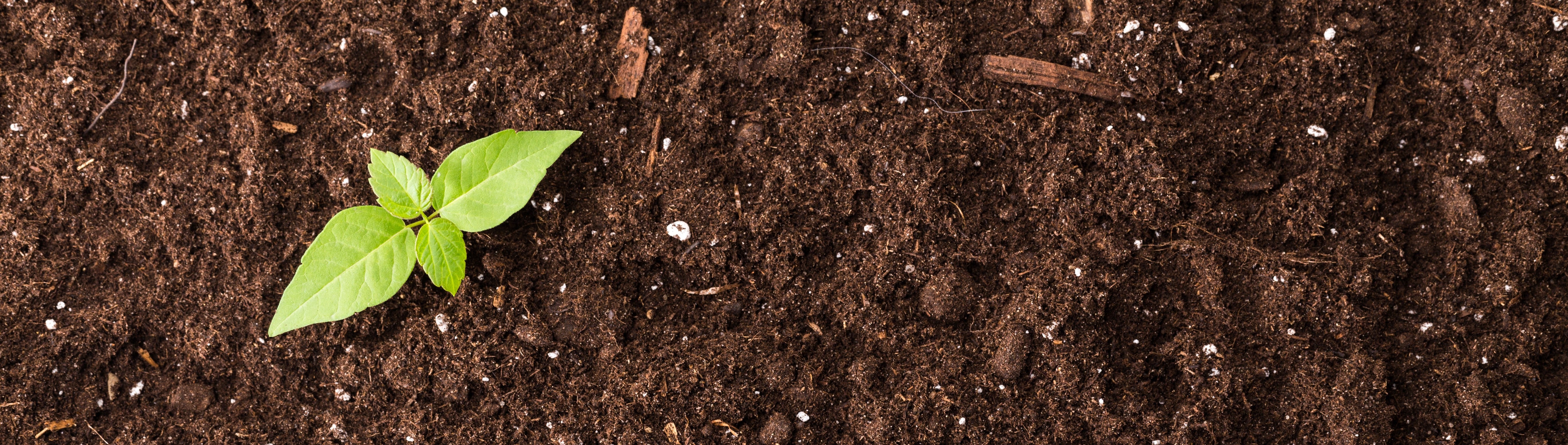 Compost & Soil Amendments