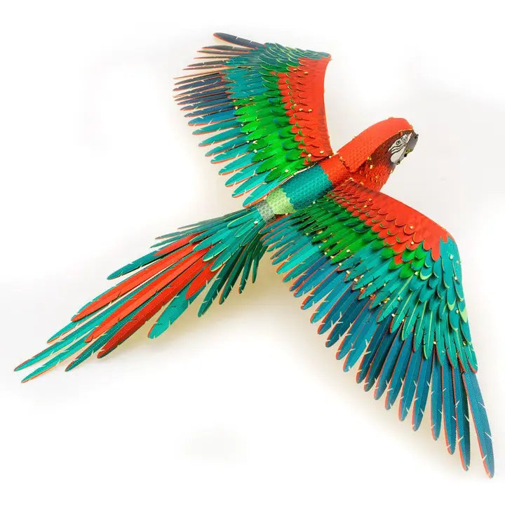 Loro guacamayo - Color