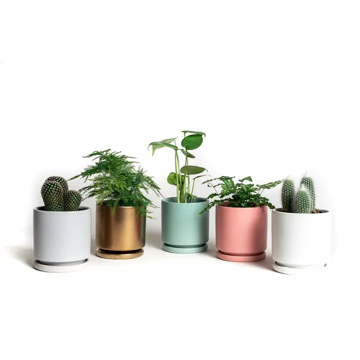 4.5" Gemstone Cylinder Pots with Water Saucers