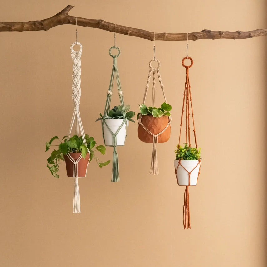 24" Macrame Plant Hangers