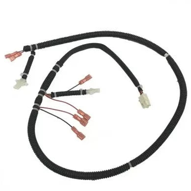 Arnés de cables