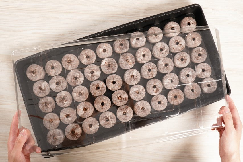 50 x 42mm Coconut Coir Pellet Greenhouse Kit