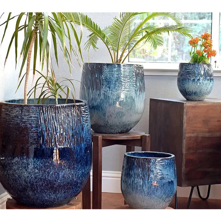 Trío De Kanto Azul Hielo