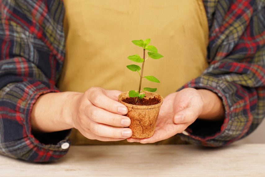 Biodegradable Coconut Coir Pots - 2.5", 3.25" & 4.5"