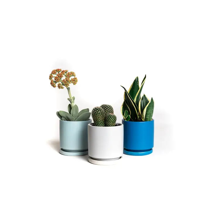 8.25" Cylinder Pots with Water Saucers