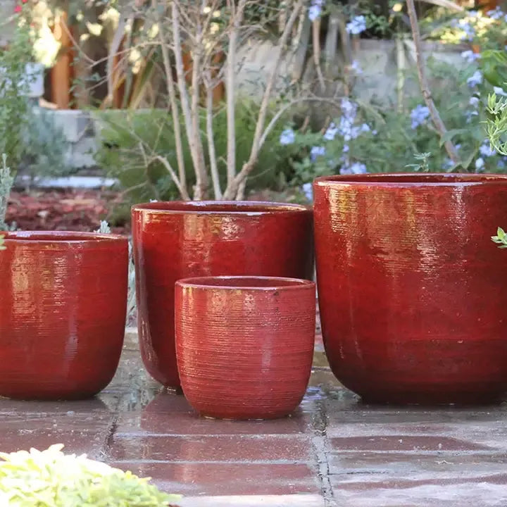 Maceta Good Earth Bucket | Rojo Tropical