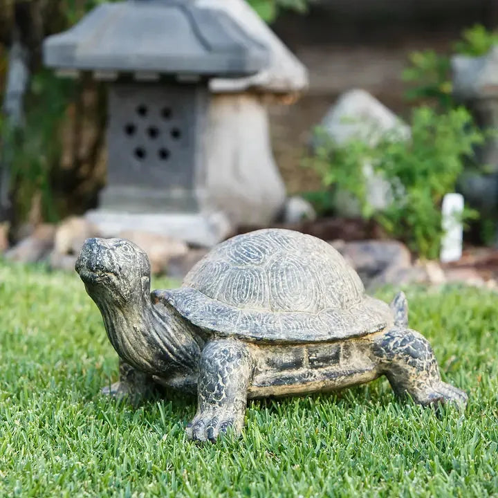Tortugas de jardín