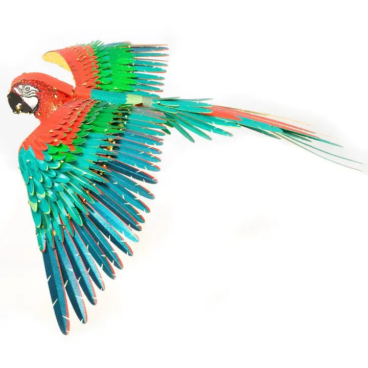 Loro guacamayo - Color