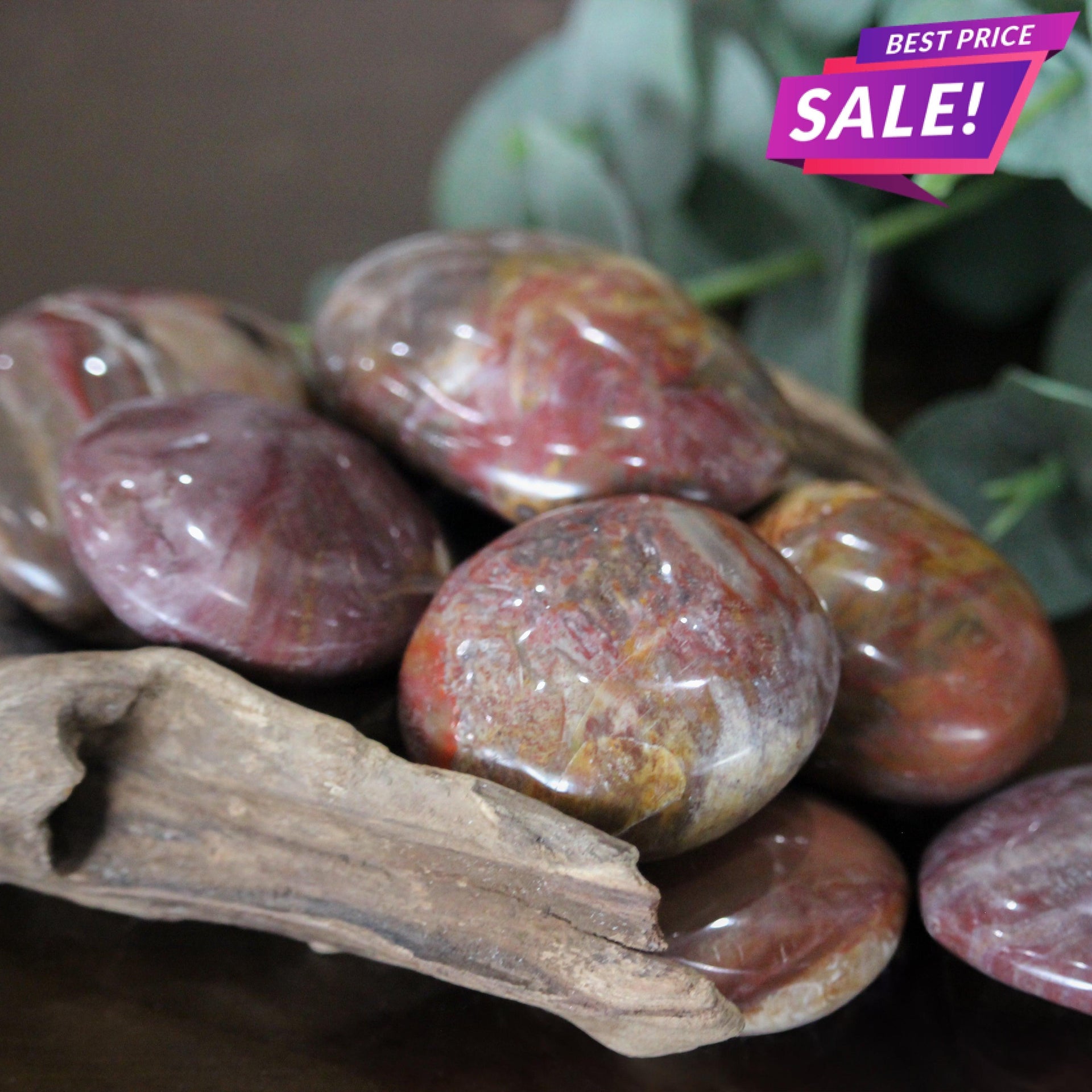 Petrified Wood Palm Stone