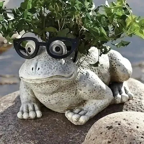 Maceta de rana con gafas