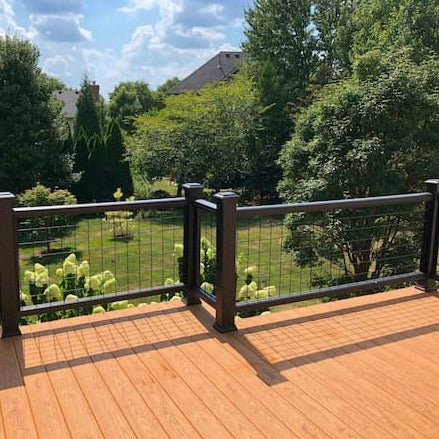 Panel de cerdo negro