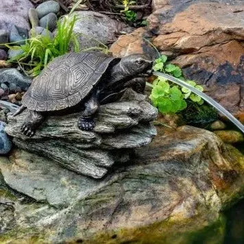 Turtle on Log Spitter