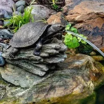Turtle on Log Spitter