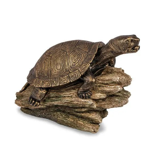 Tortuga en escupidor de troncos