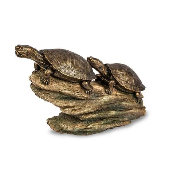 Tortuga doble en escupidor de troncos