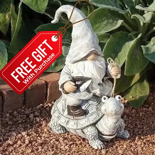 Gnome Riding Turtle