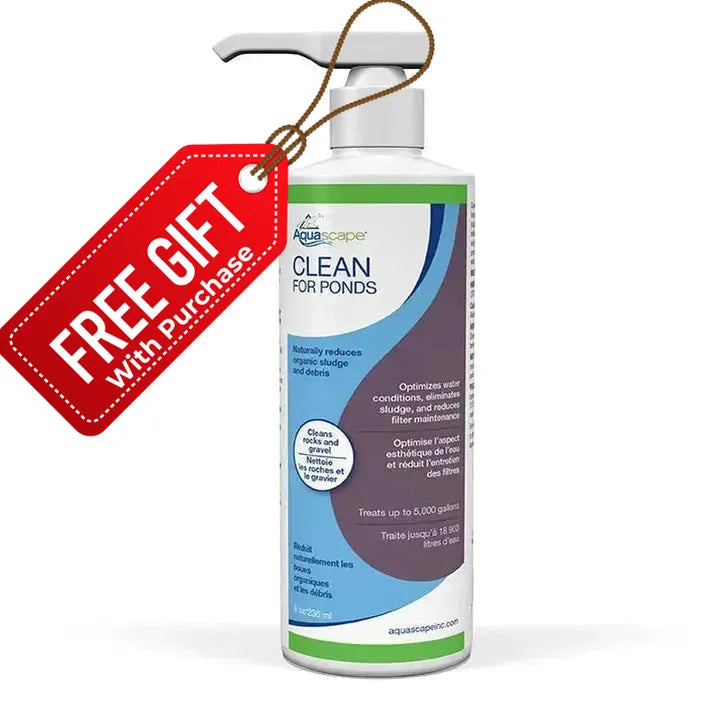 Limpiar para estanques