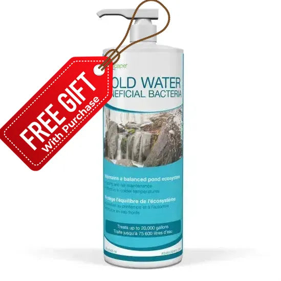 Cold Water Beneficial Bacteria