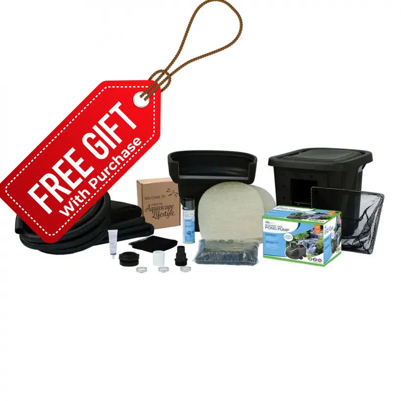 Kit de estanque para jardín trasero de 6' x 8' con bomba para estanque EcoWave 2000