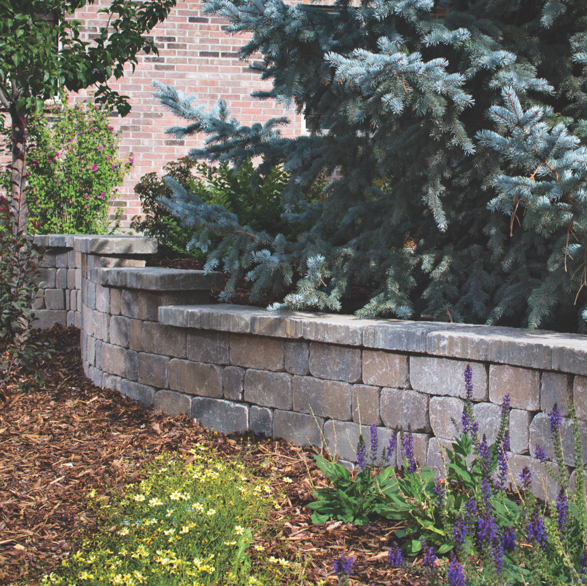 Tapa de pared Shelton