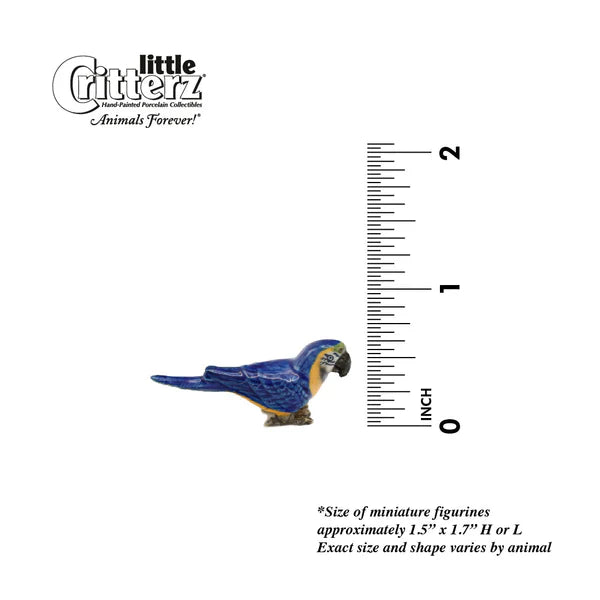 Little Critterz™ - Pájaros y mariposas