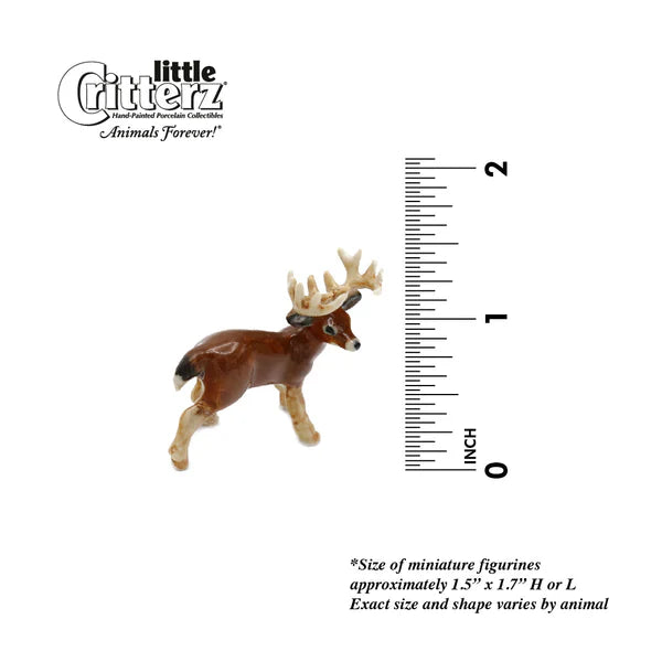 Little Critterz™ - Campo y bosque