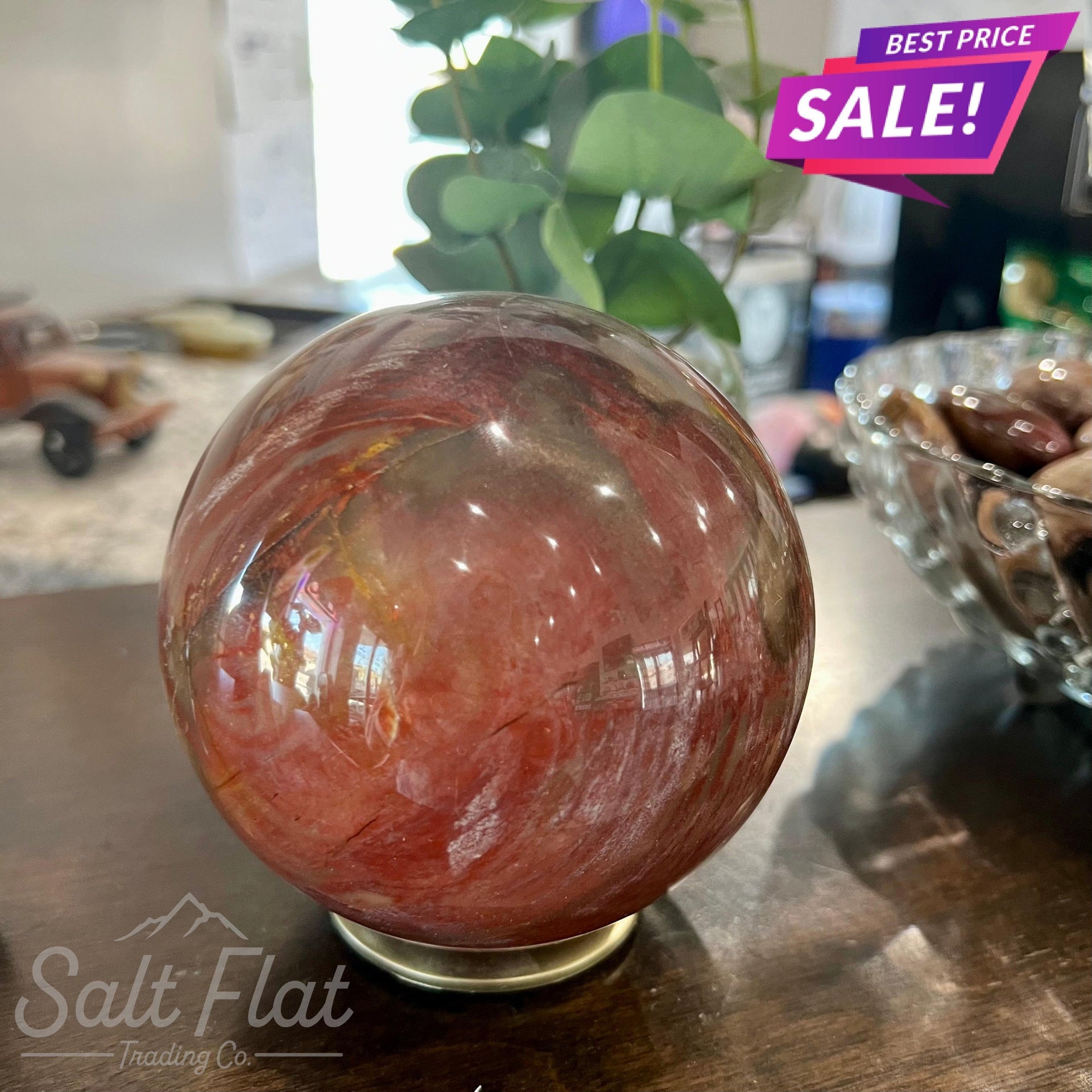 Petrified Wood Sphere