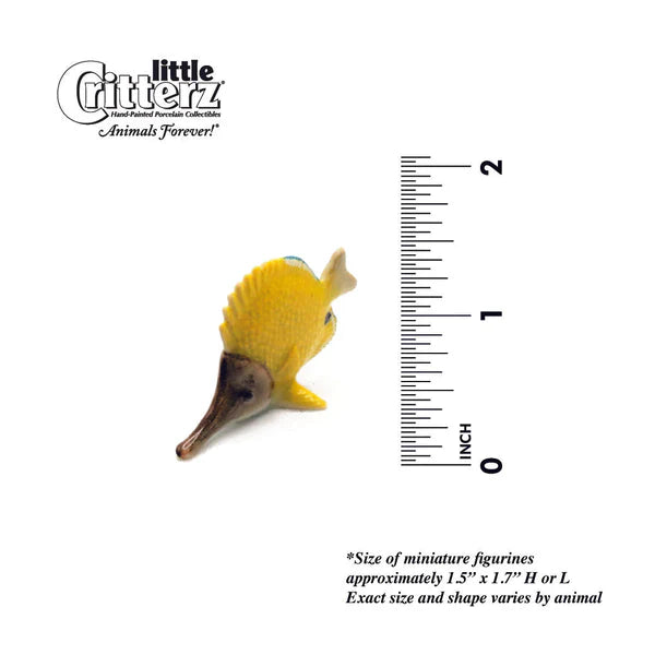 Pequeños Critterz™ - Vida marina