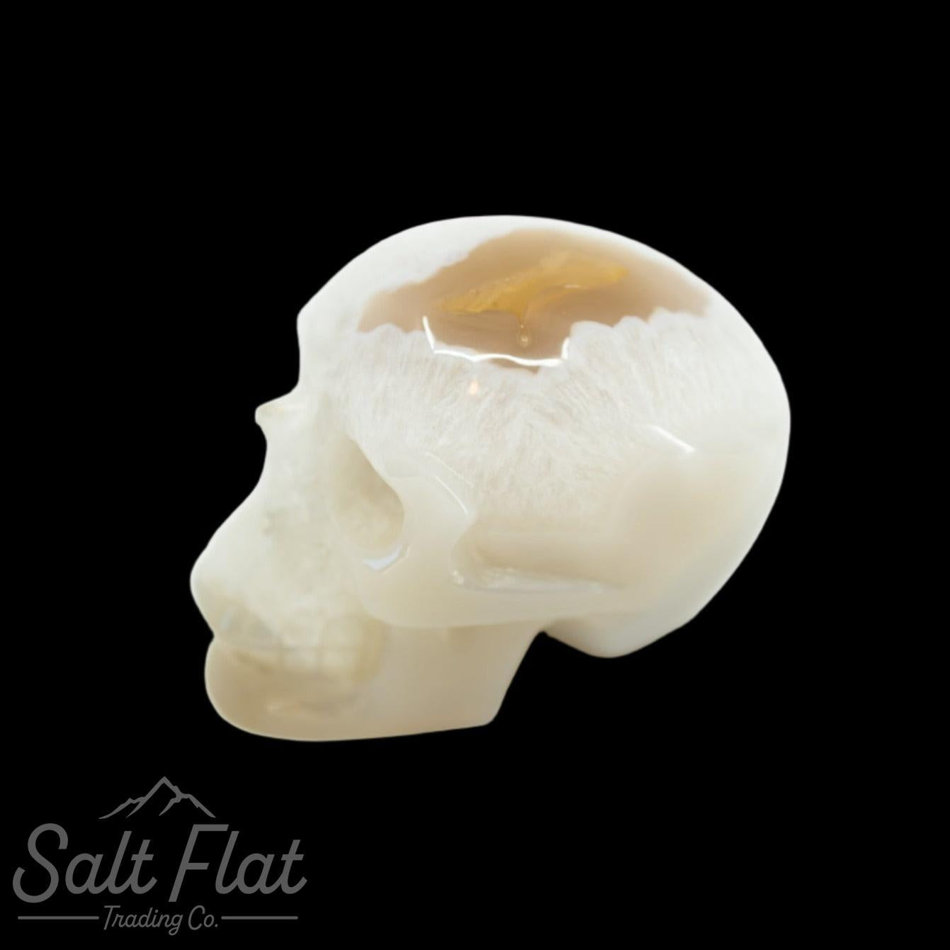 Calavera de cristal de 5" con caja