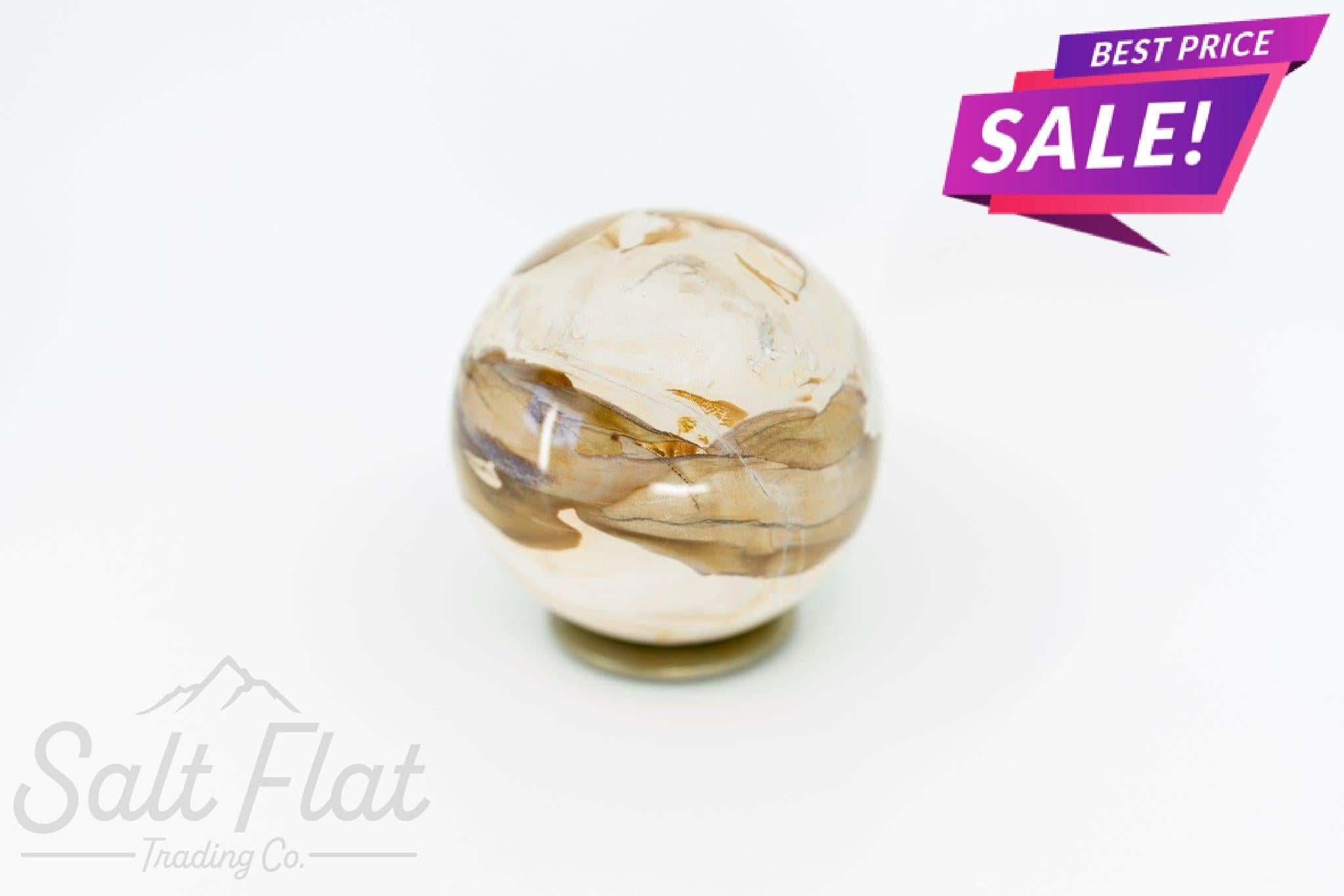 Petrified Wood Sphere