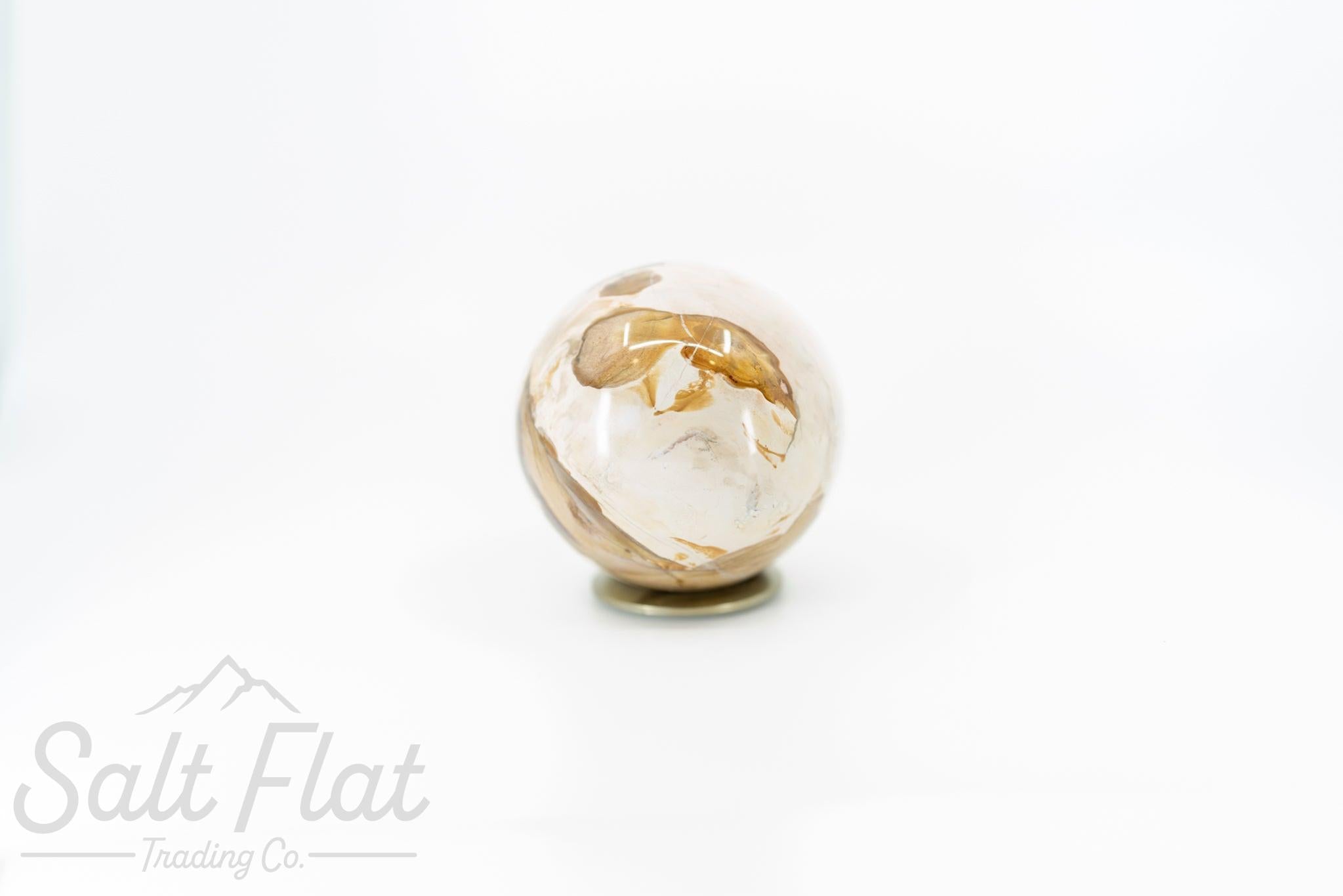 Esfera de madera petrificada