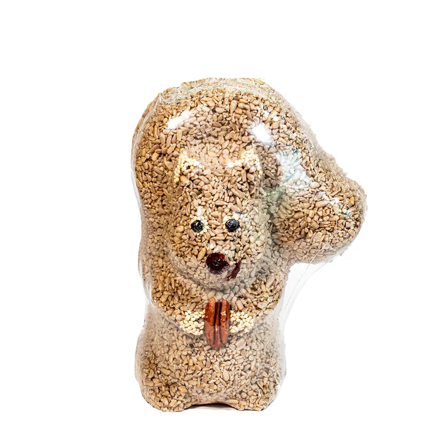 Ardilla Nutzo