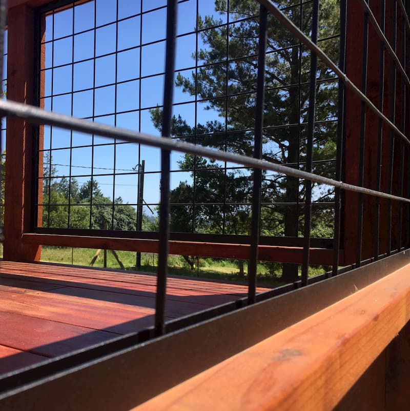 Kit de conversión de cerdo salvaje de 6'