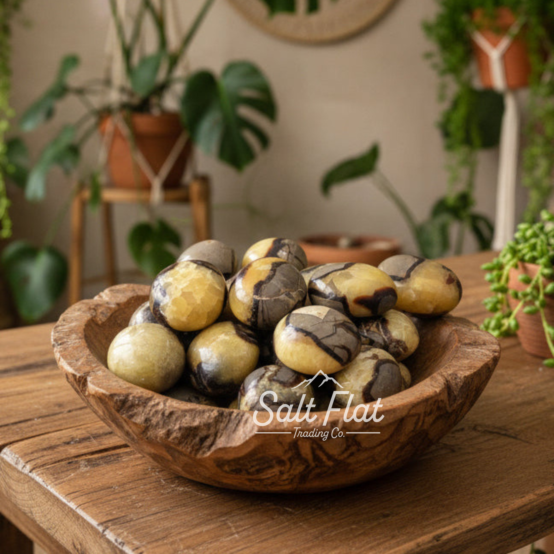 Piedra de palma septaria