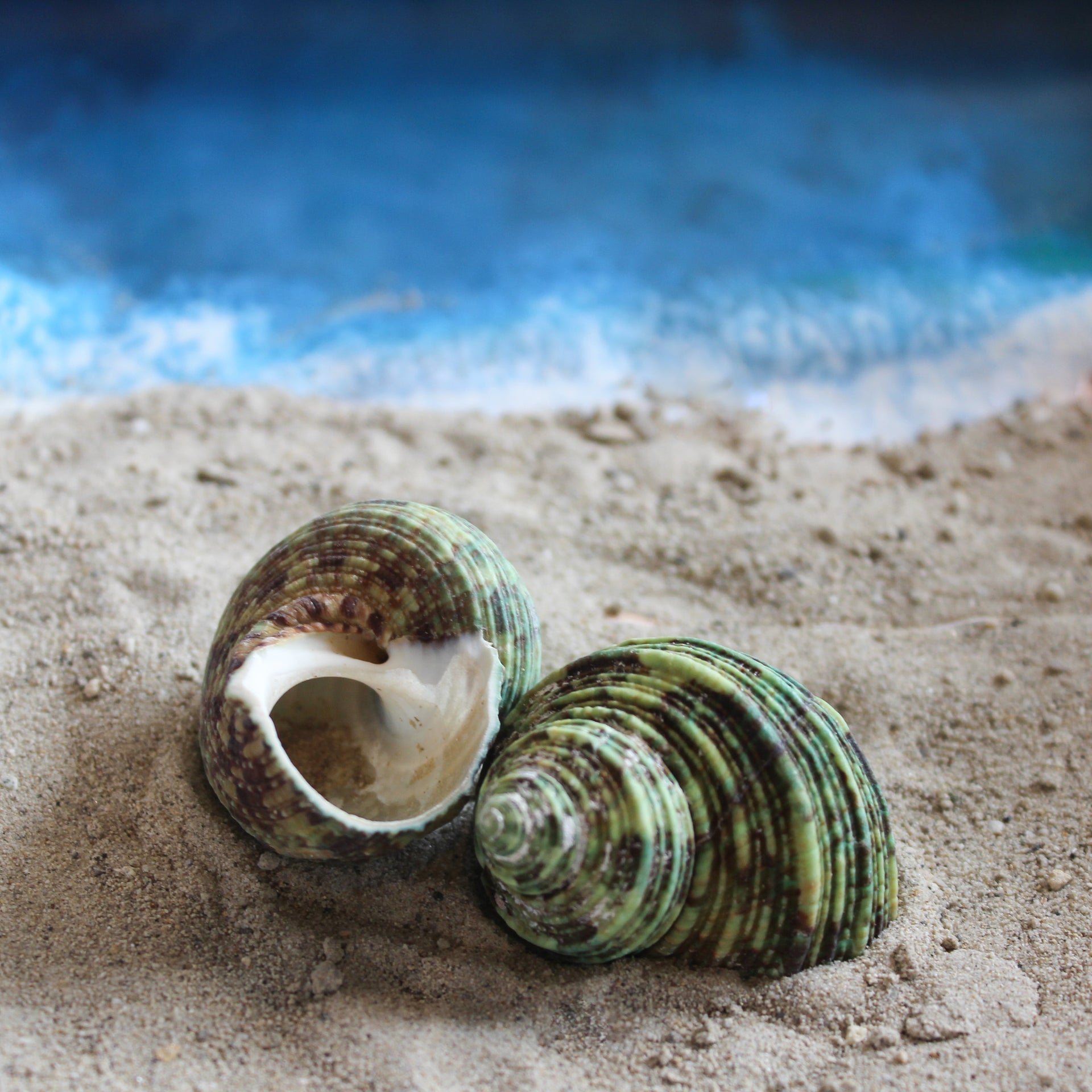 Unpolished Green Turbo 1.5-2"