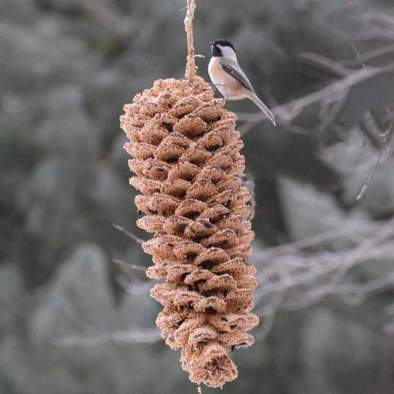 Piña gigante