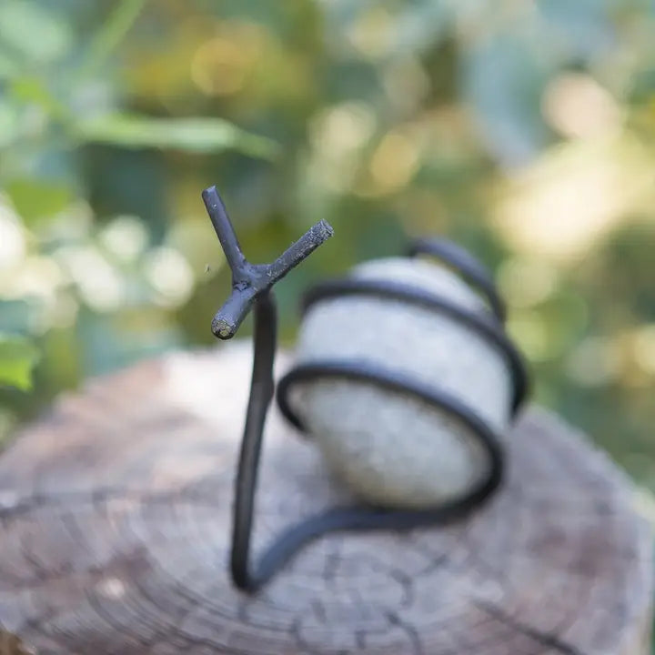 River Stone Snail