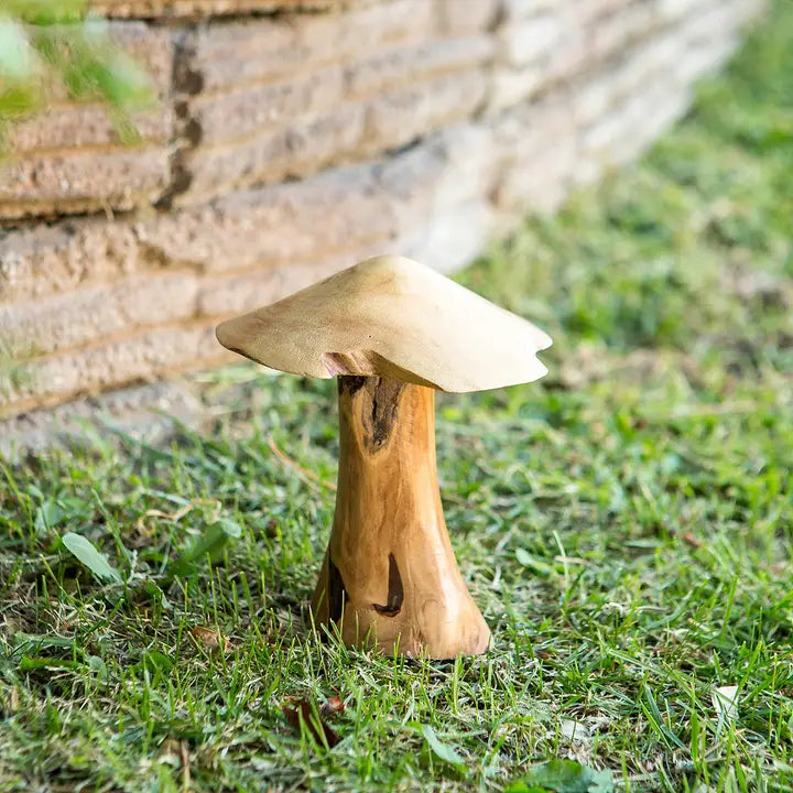 Hongos de raíz del árbol del té