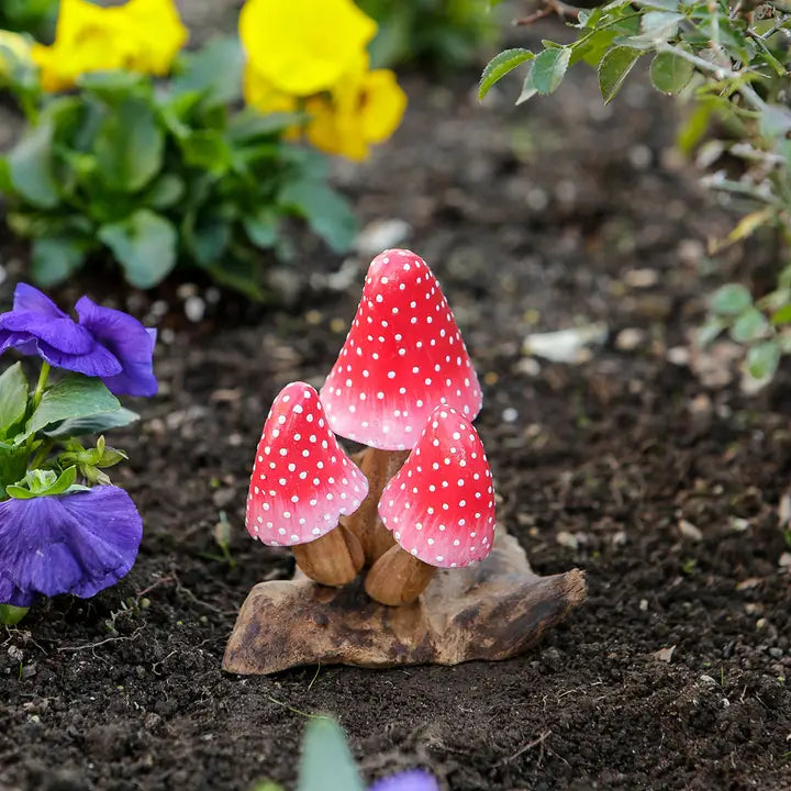 Parasite Banana Mushroom