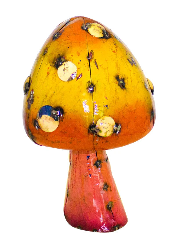 Hongos de jardín