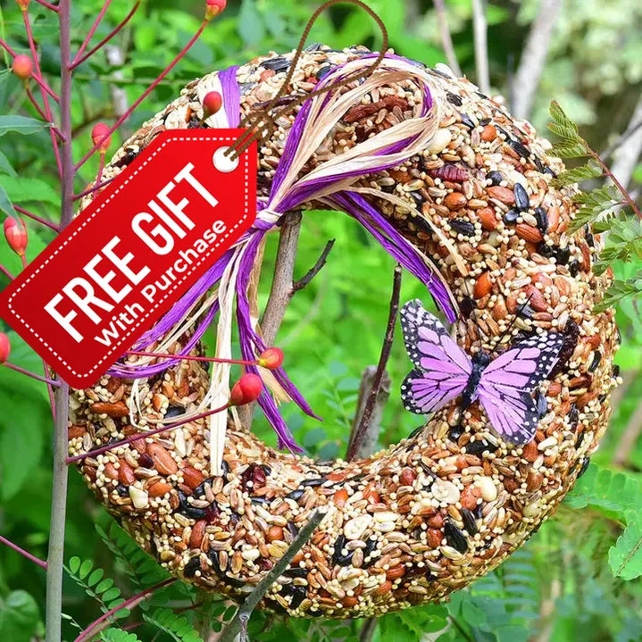 Wildfare Wreath