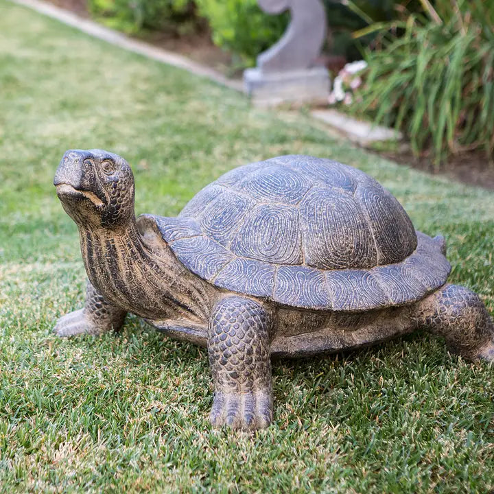 Tortugas de jardín