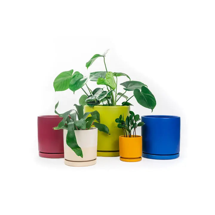 6.5" Gemstone Cylinder Pots with Water Saucers