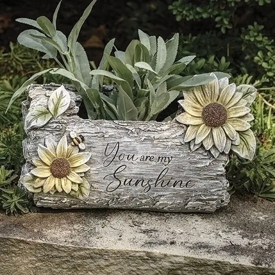 You Are My Sunshine Garden Planter