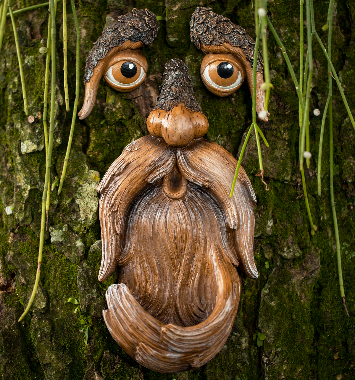 Caras de árboles
