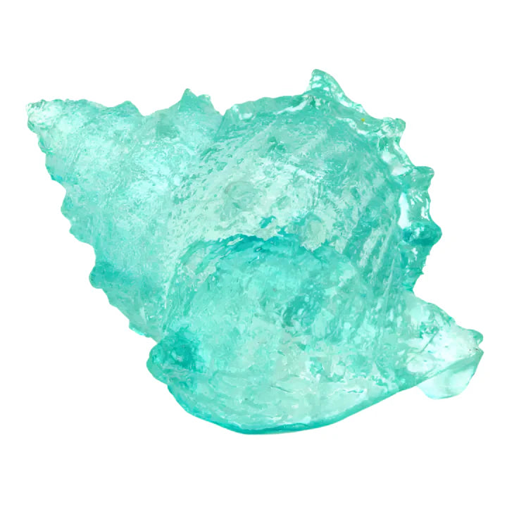 Conchas azules claras
